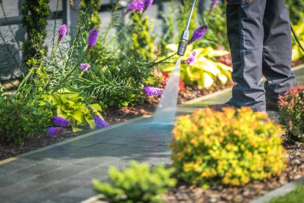 Best Dumpster Area Cleaning  in Stallings, NC